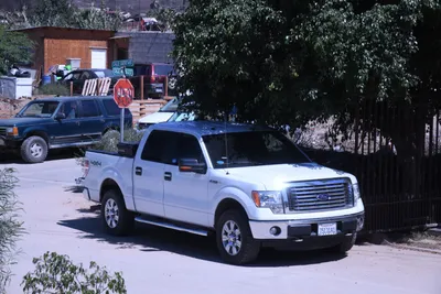 DSC_2069 (Large).JPG